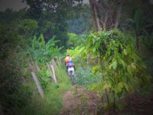 Mit dem Rad durch verschwunschene Pfade in Uganda