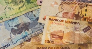 Währung in Uganda: Bezahlen im Urlaub